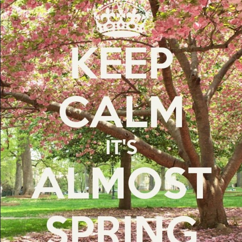 Meet your Posher, Adela